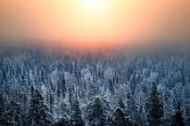 Choose Practically-Oriented Bachelor's Degrees in Finland