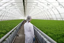 Master’s Degree in Agricultural, Environmental and Resource Economics – Unique Combination of Economics and Natural Science