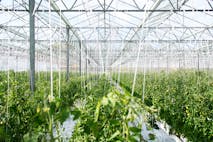 Agricultural, Environmental & Resource Economics Master's – Unique Combination of Economics & Natural Science