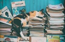 Personal Statement Example: Student Applying for a Ph.D. in Literature