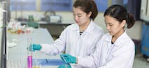 STEM Bachelor's Degrees to Study in 2020 and Careers After Graduation
