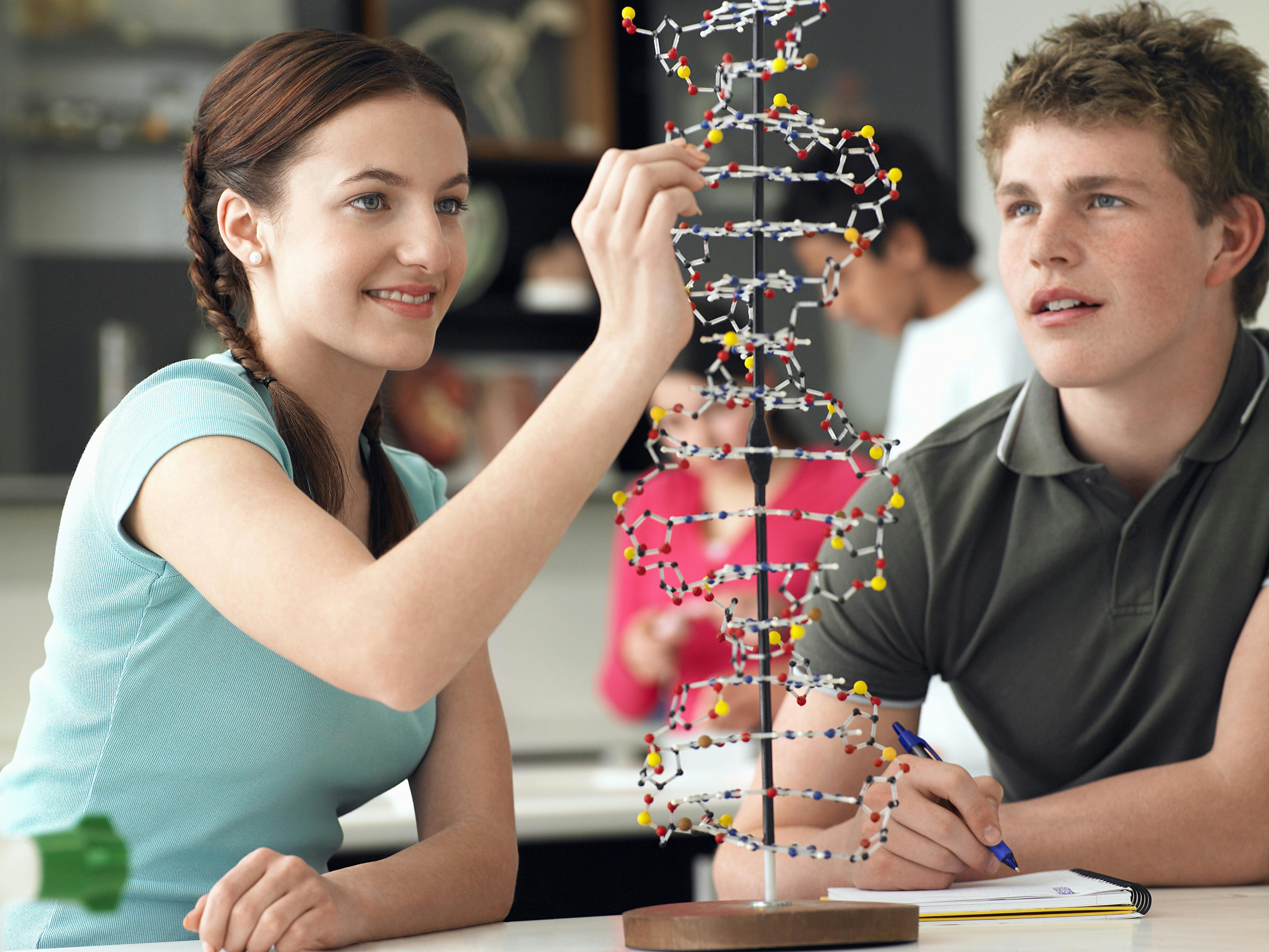 Study a STEM degree in Melbourne, Australia