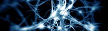 Best Schools for Neuroscience in Europe - University Rankings 2020
