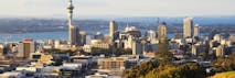 How to Apply to a University in New Zealand in 2020