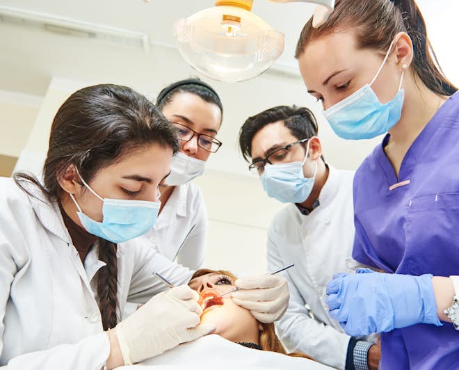 Dentistry students