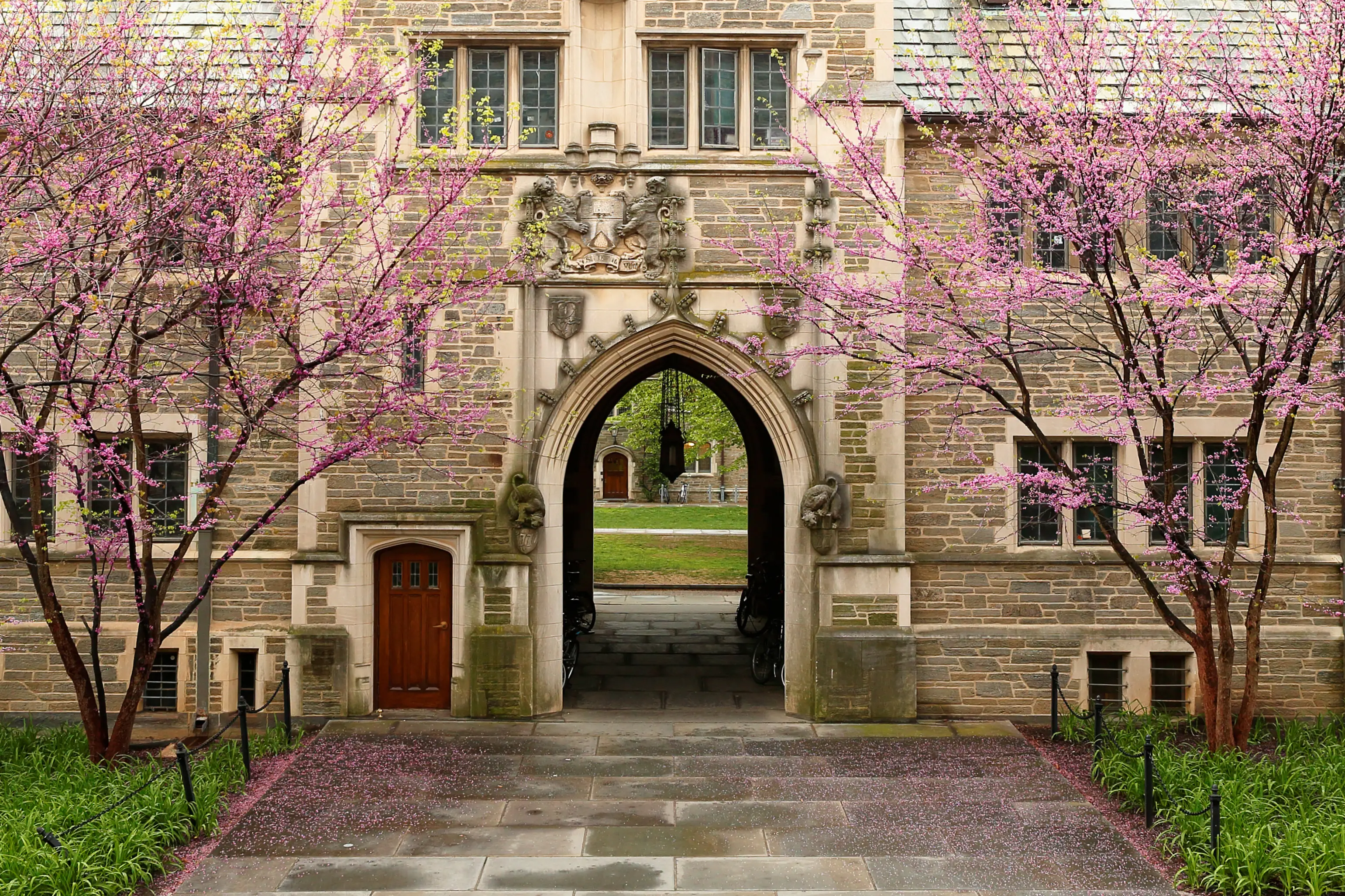 Princeton University