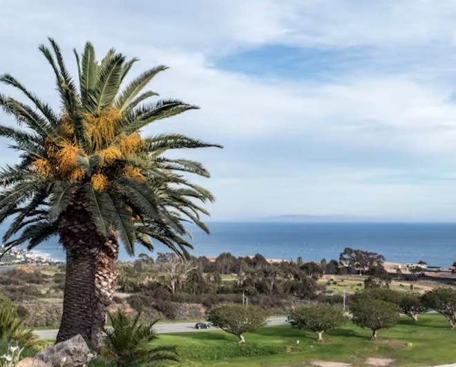 Universidade Pepperdine, Califórnia