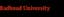 Logo Radboud University