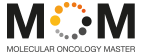 Molecular Oncology – MOM