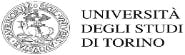 University of Torino