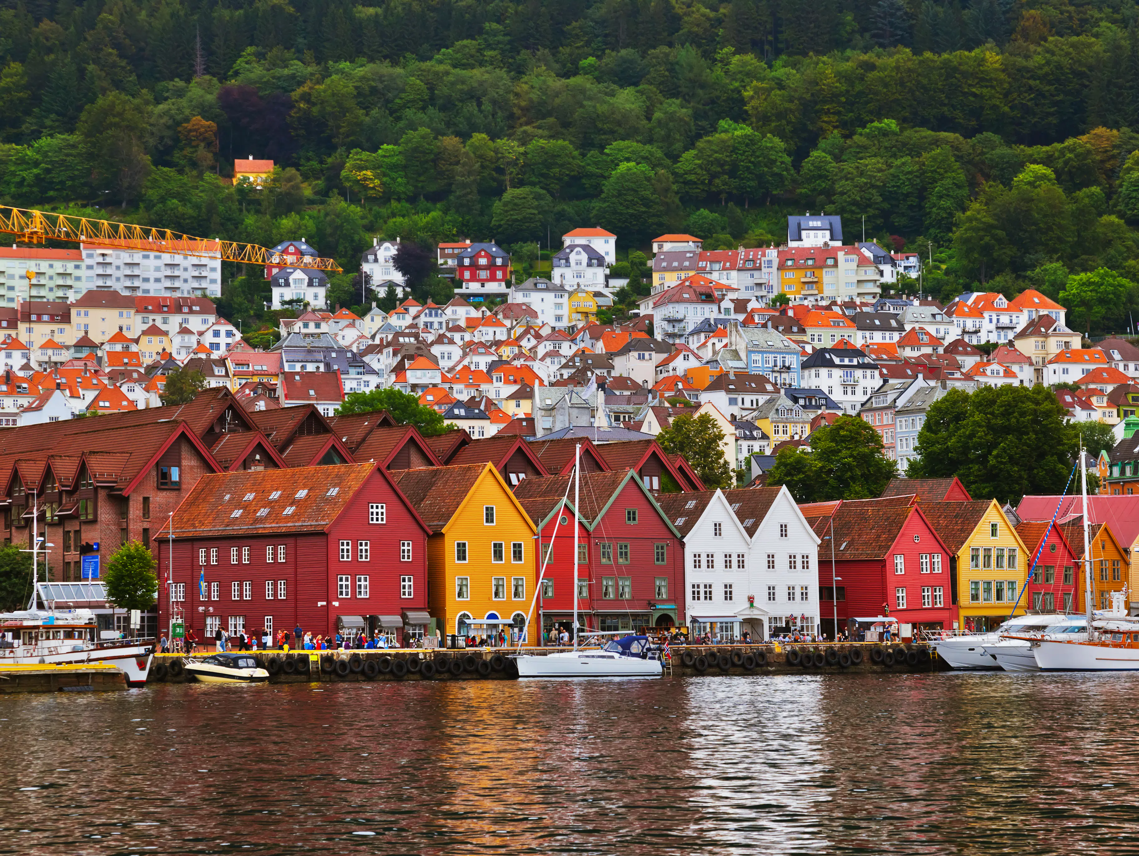 Study a CEMS Master in Management in Bergen, Norway