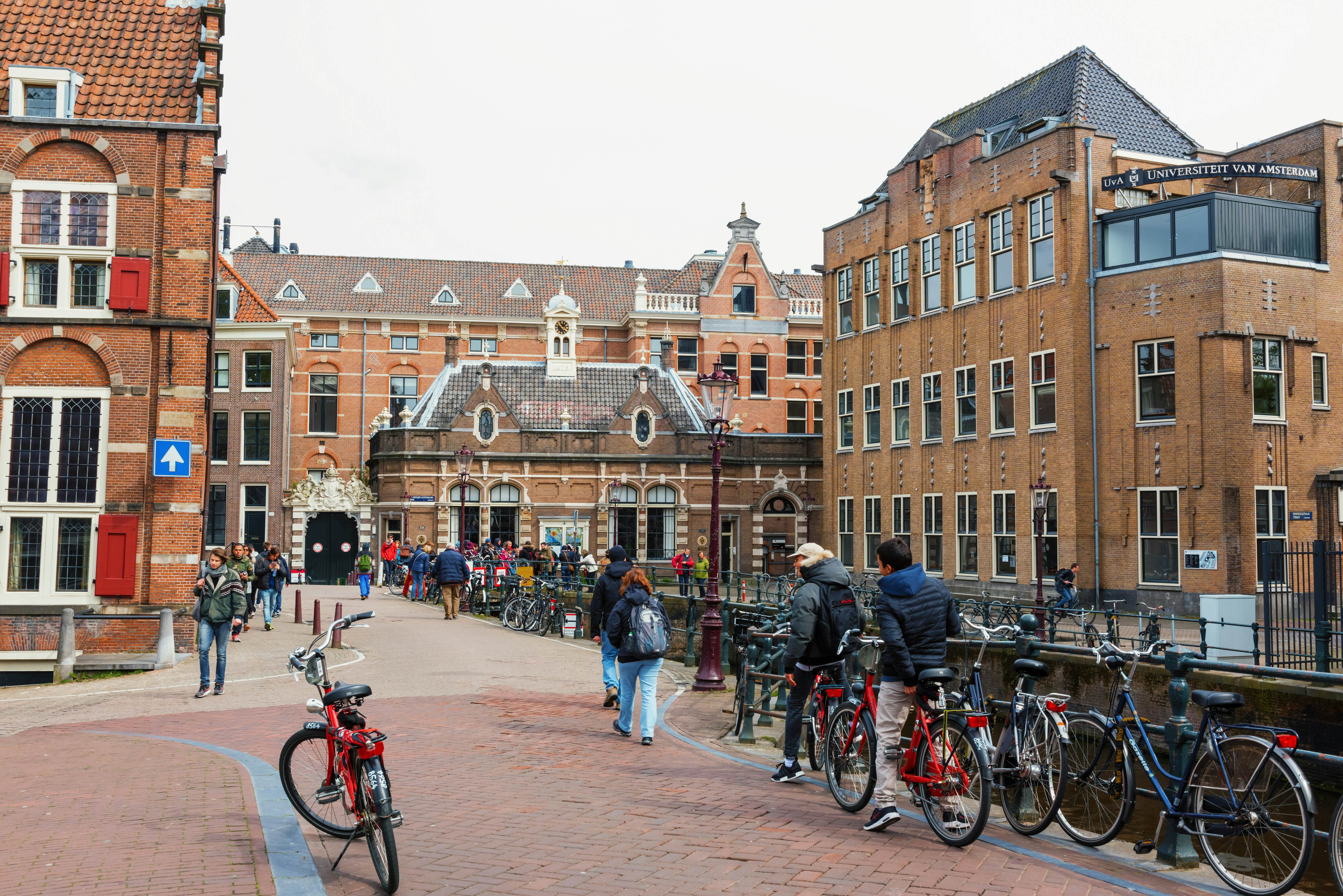 Study abroad at the best universities in the Netherlands