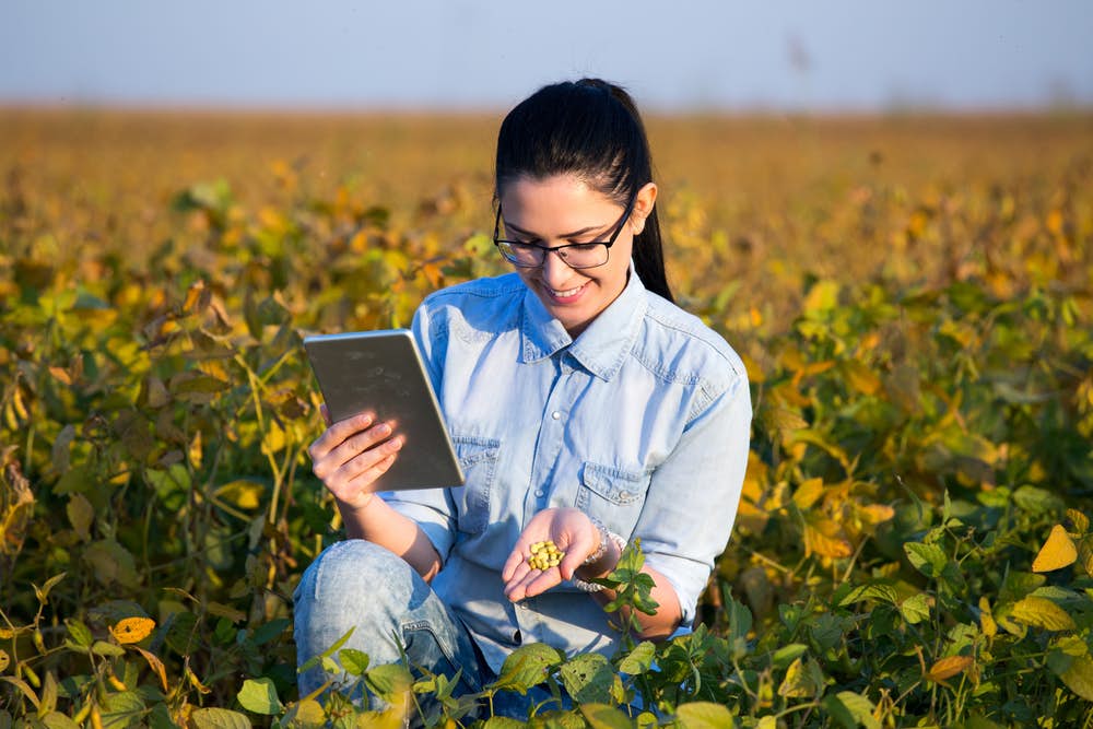 study Agribusiness
