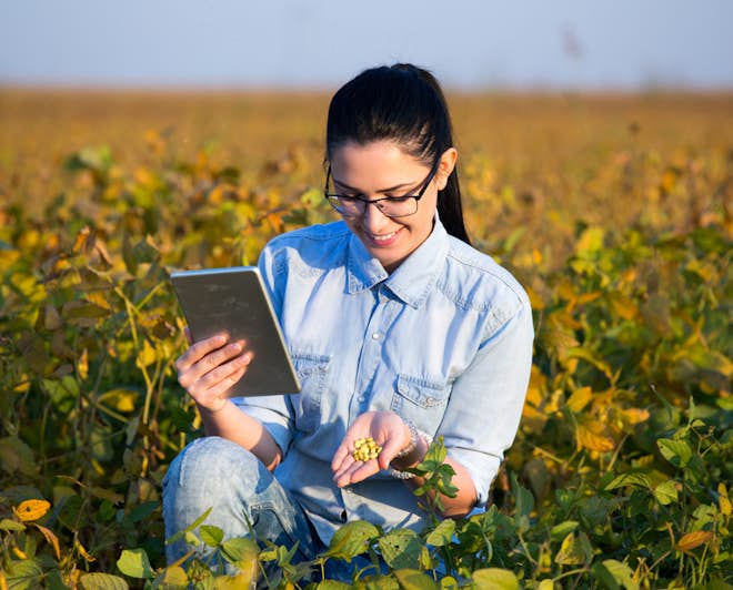 Why You Should Study a Master's in Agricultural Economics in 2021 - MastersPortal.com
