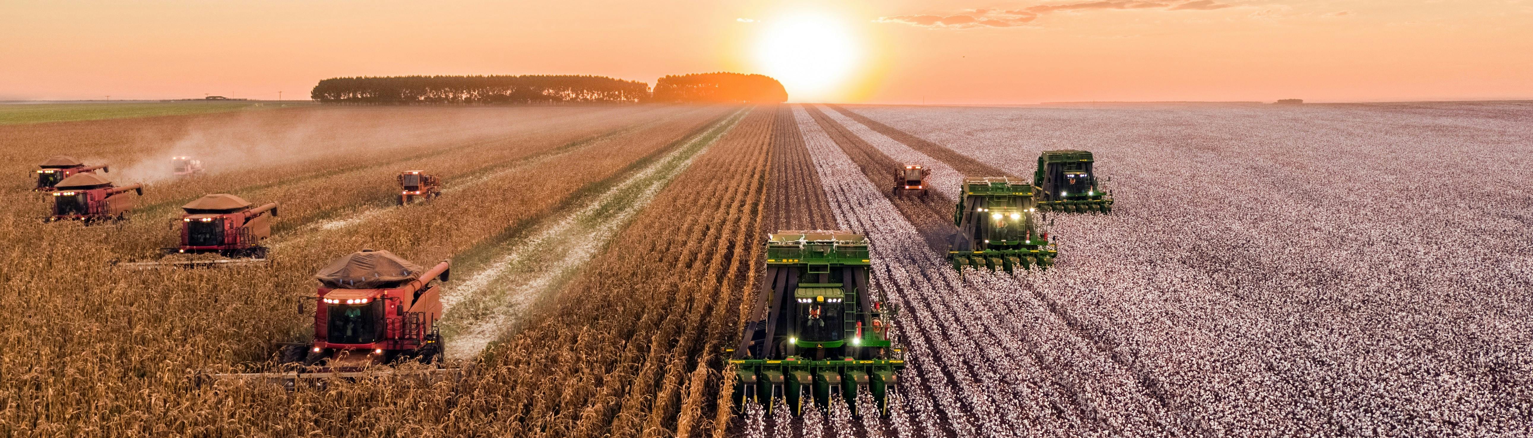 Why You Should Study a Master's in Agricultural Economics in 2020 -  MastersPortal.com