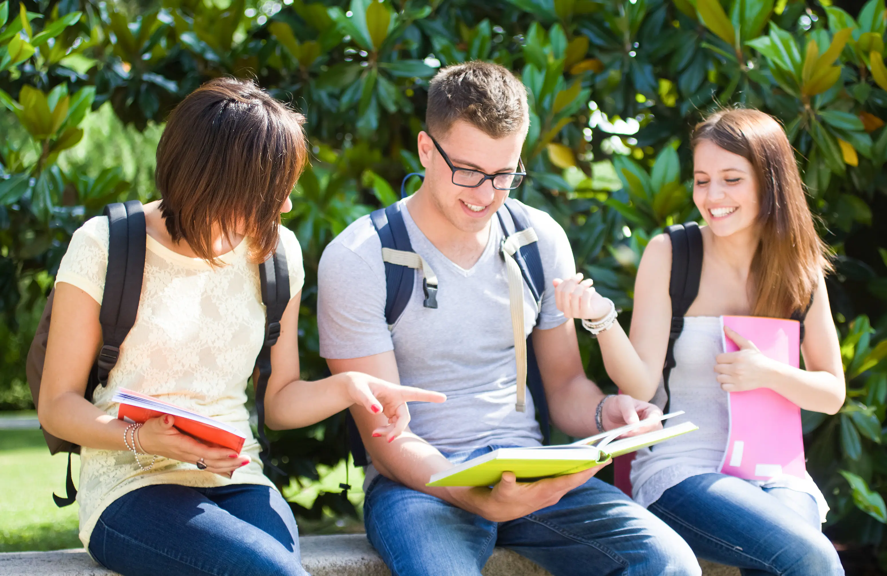 Study a Bachelor's degree abroad