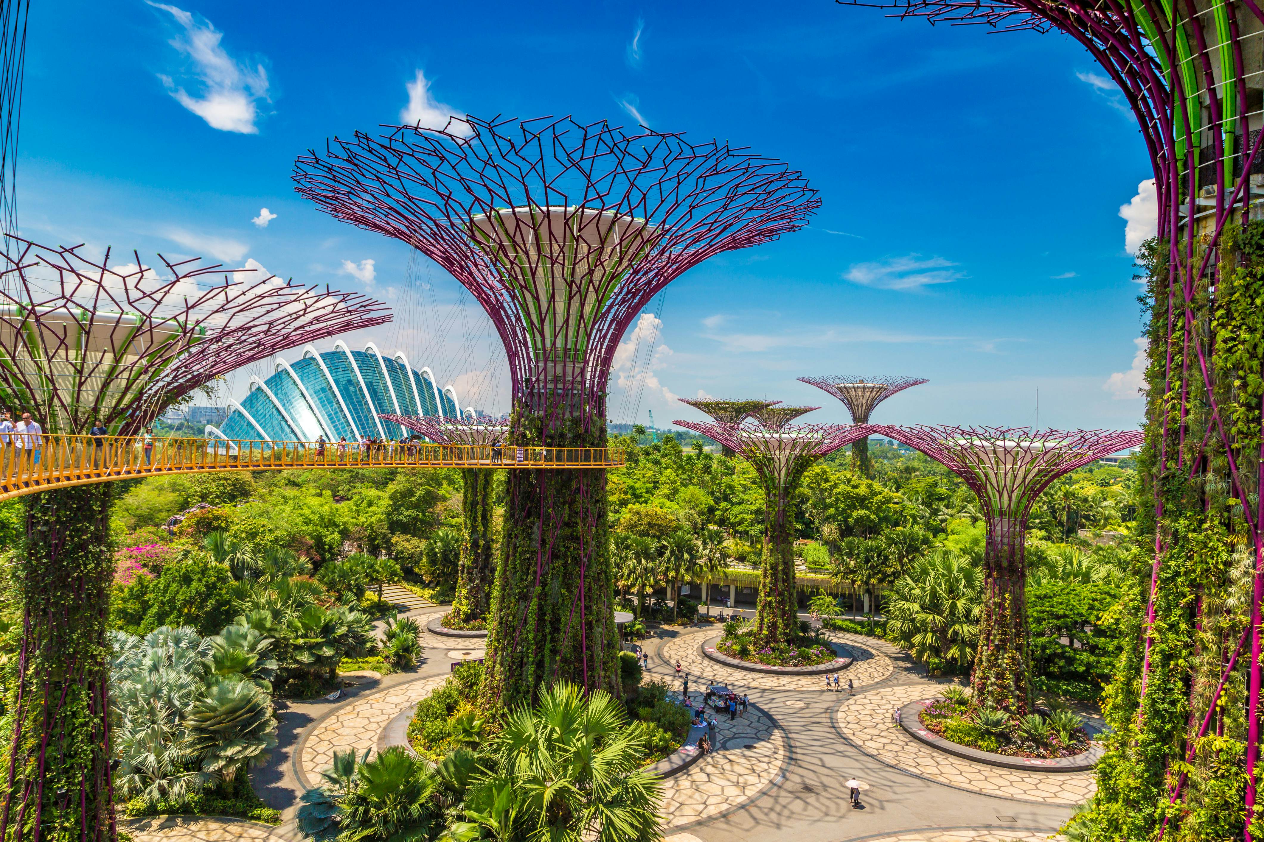 Supertree Grove, Gardens by the Bay, in Singapore