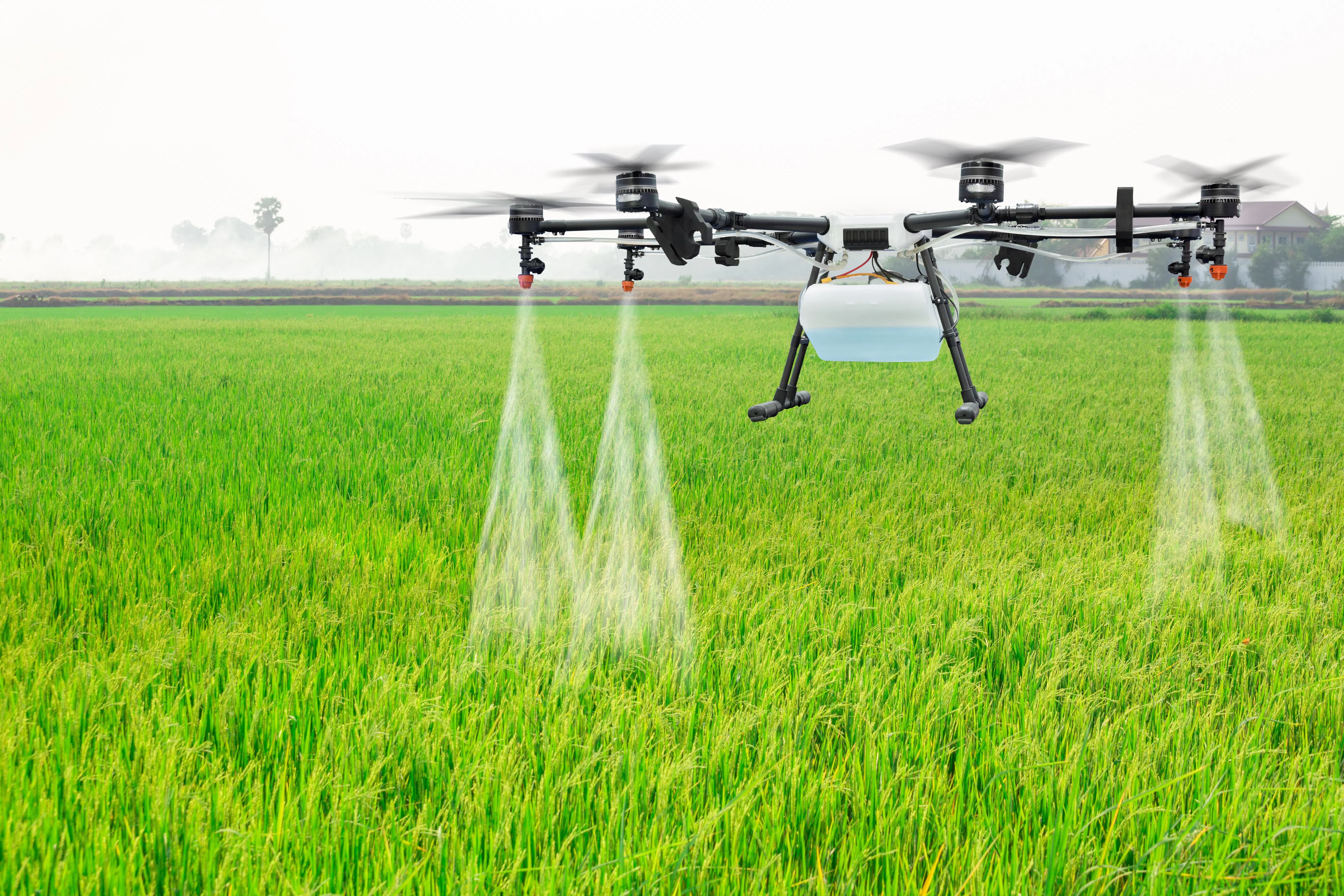 Agriculture drone spraying fertiliser over crop