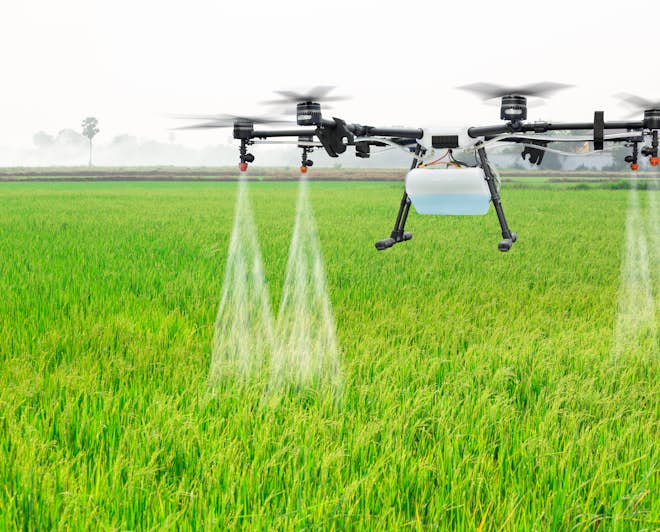 Agriculture drone spraying fertiliser over crop