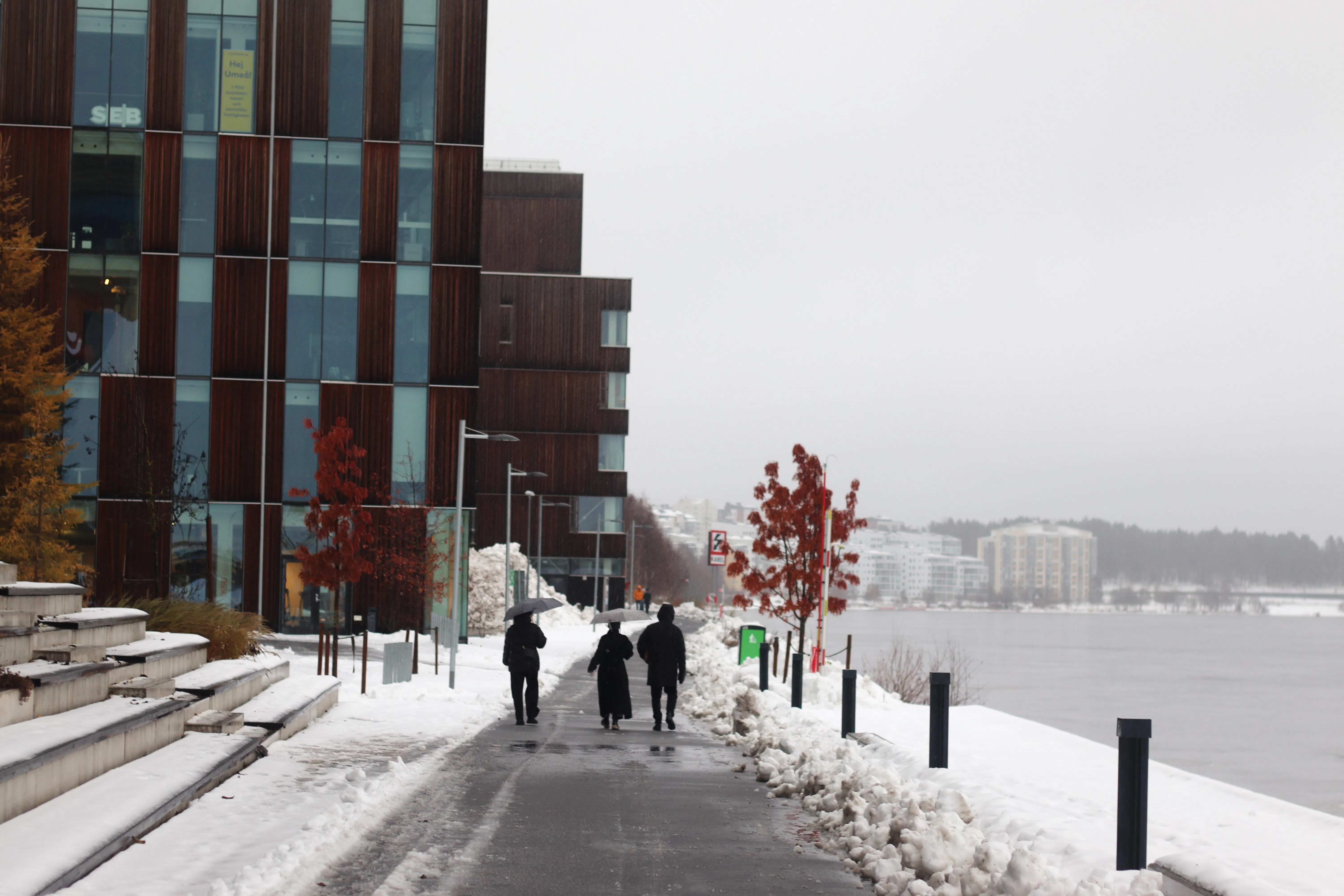 Best Universities in Sweden in 2024 - Mastersportal.com
