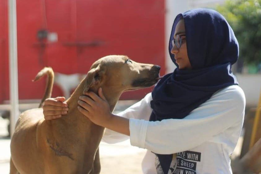 Studyportals Scholarship Winner Sidra Zahid Volunteering at a Local Animal Shelter