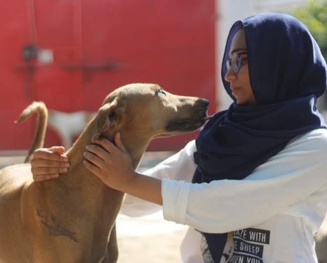 Studyportals Scholarship Winner Sidra Zahid Volunteering at a Local Animal Shelter