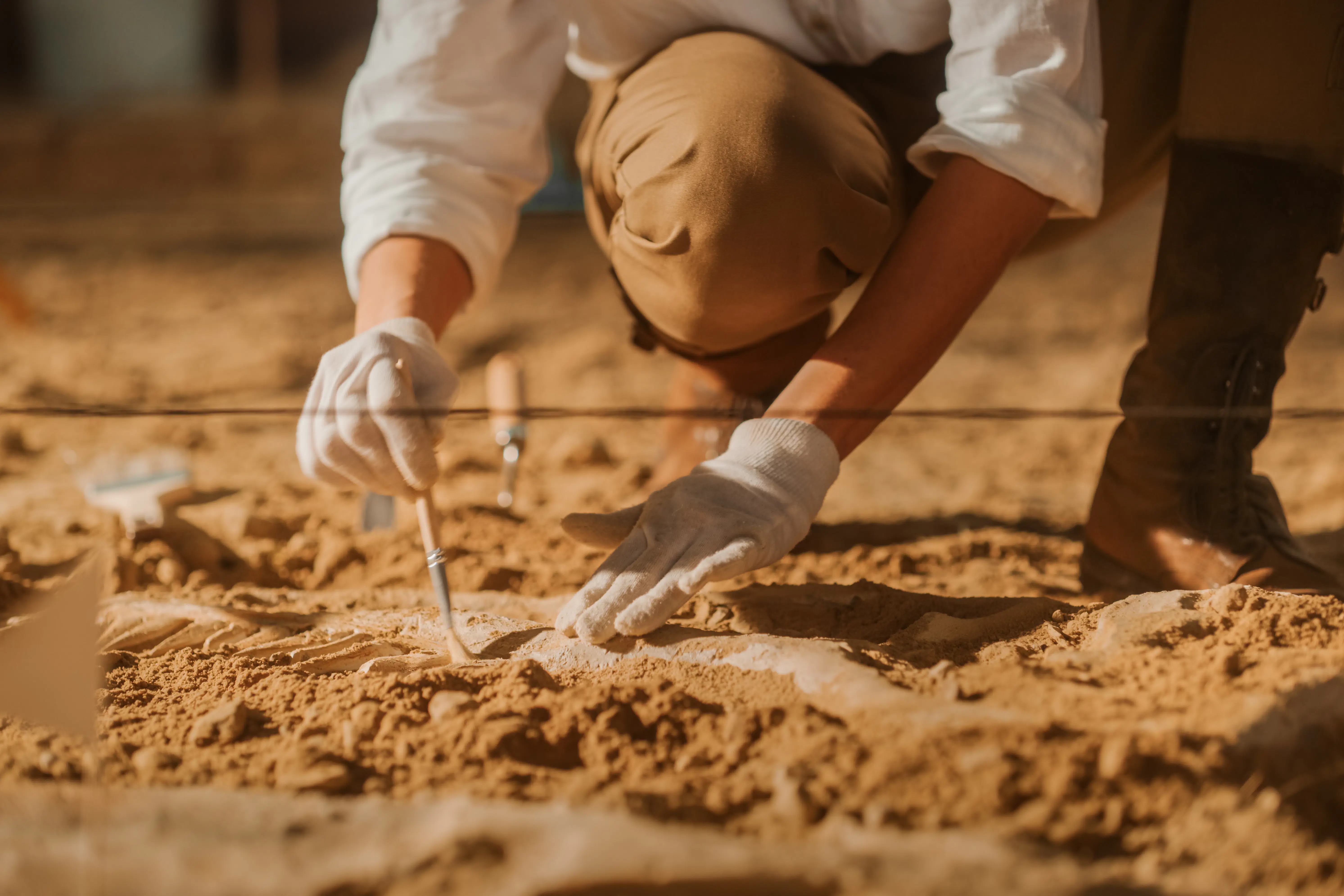 Archaeology student