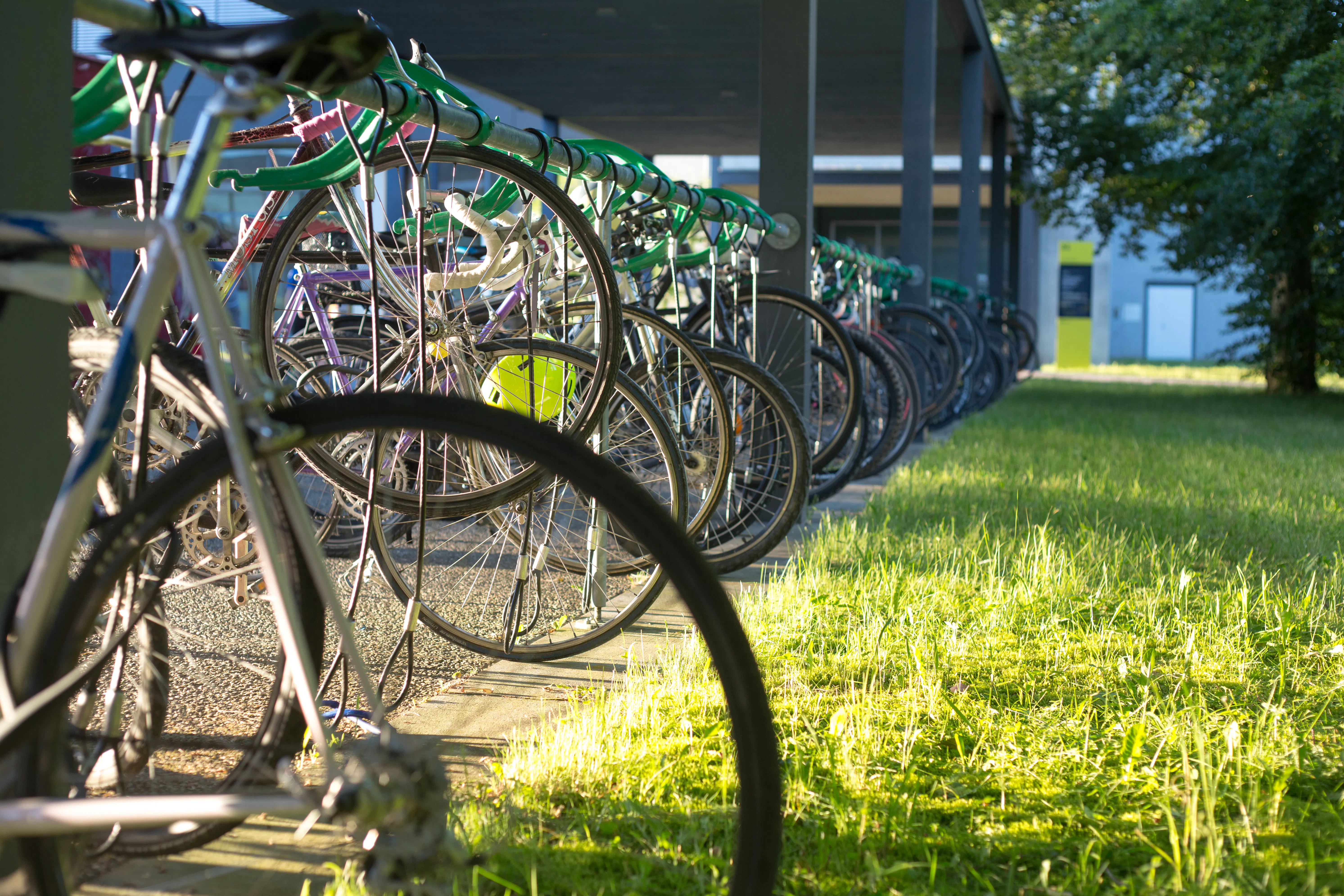 A Guide to What Is Times Higher Education Ranking and How It Can Help You