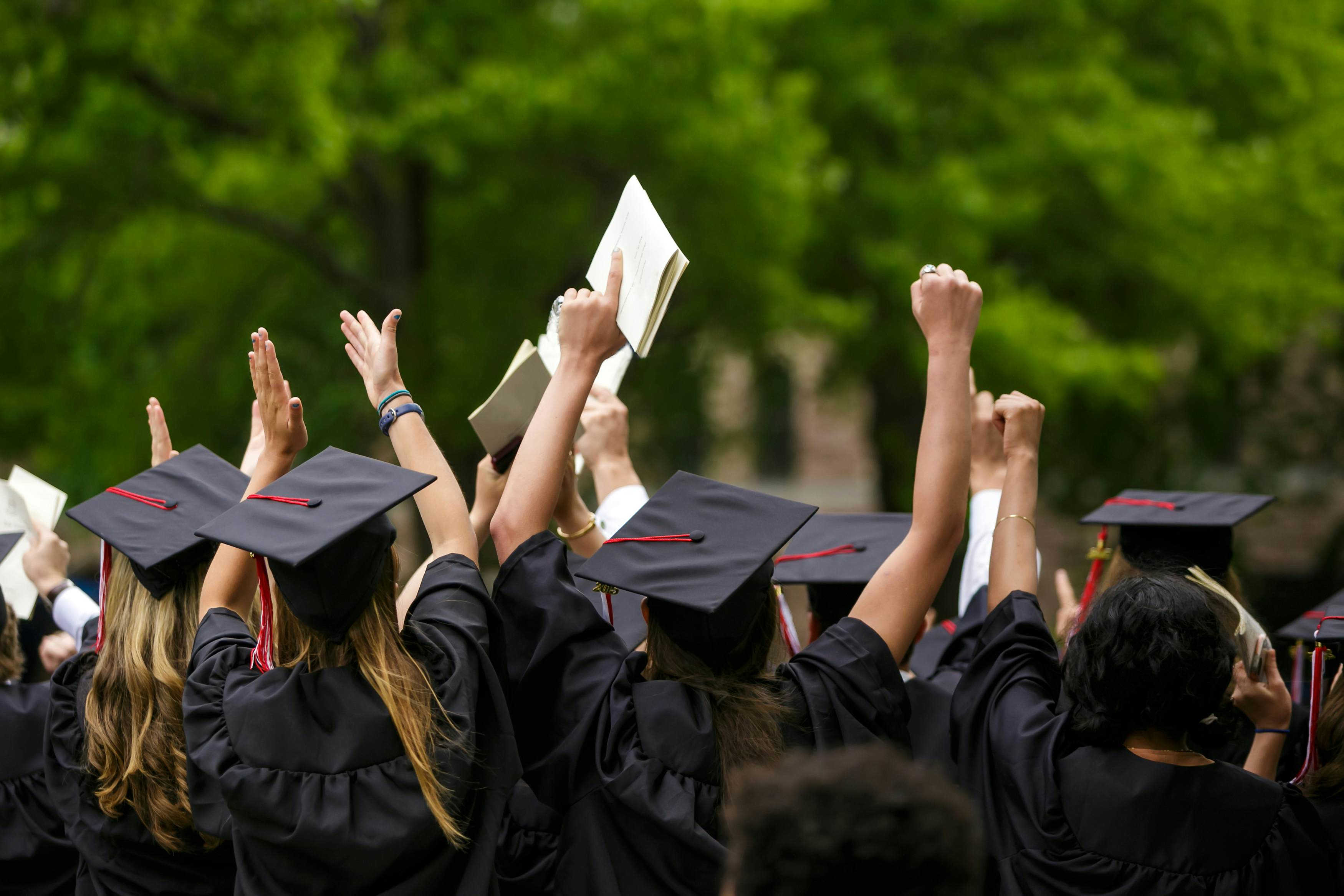 Ivy league college graduates