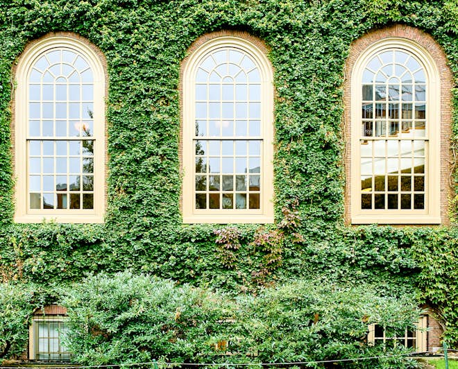 how Ivy colleges got their name