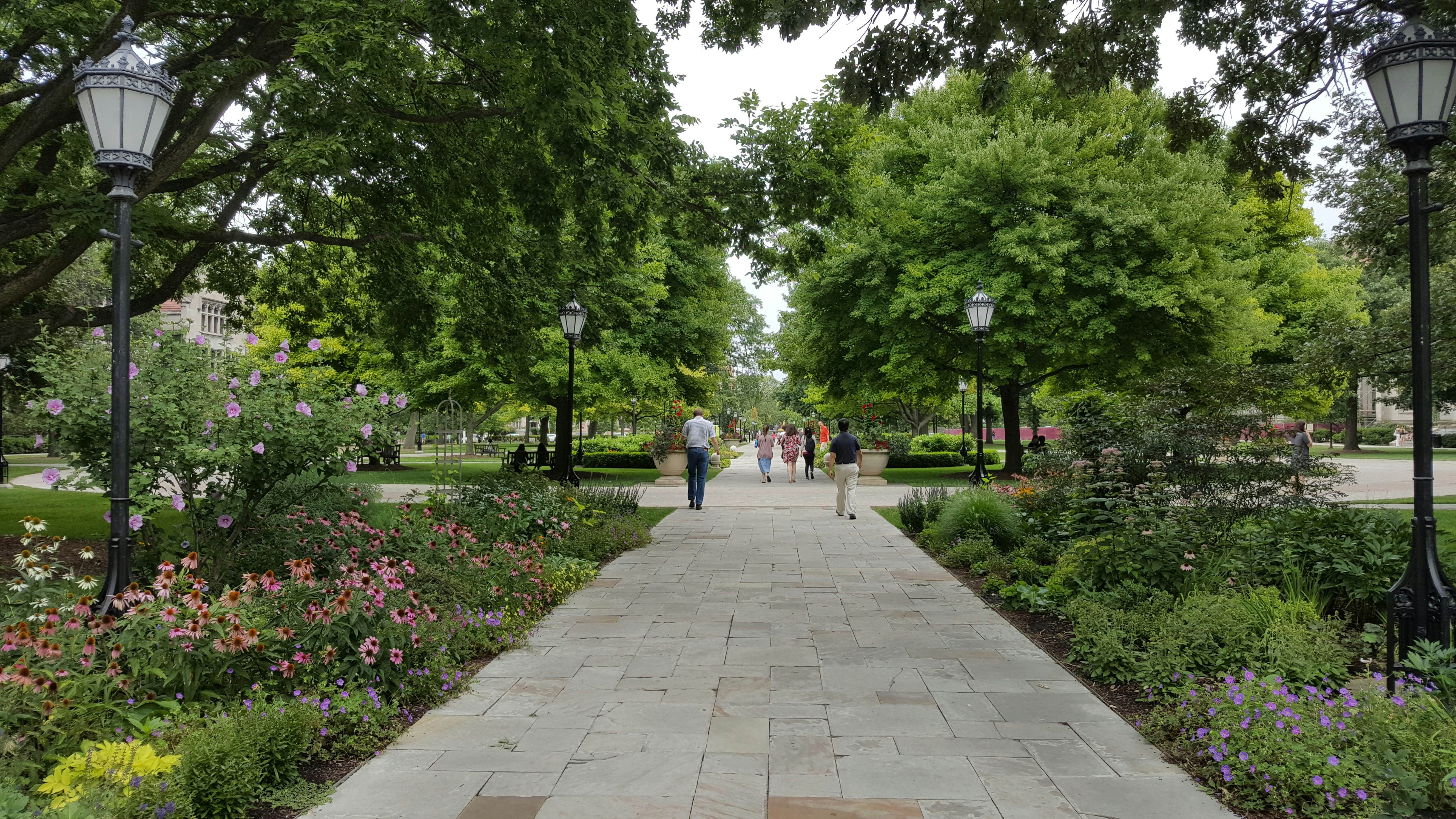 The University of Chicago