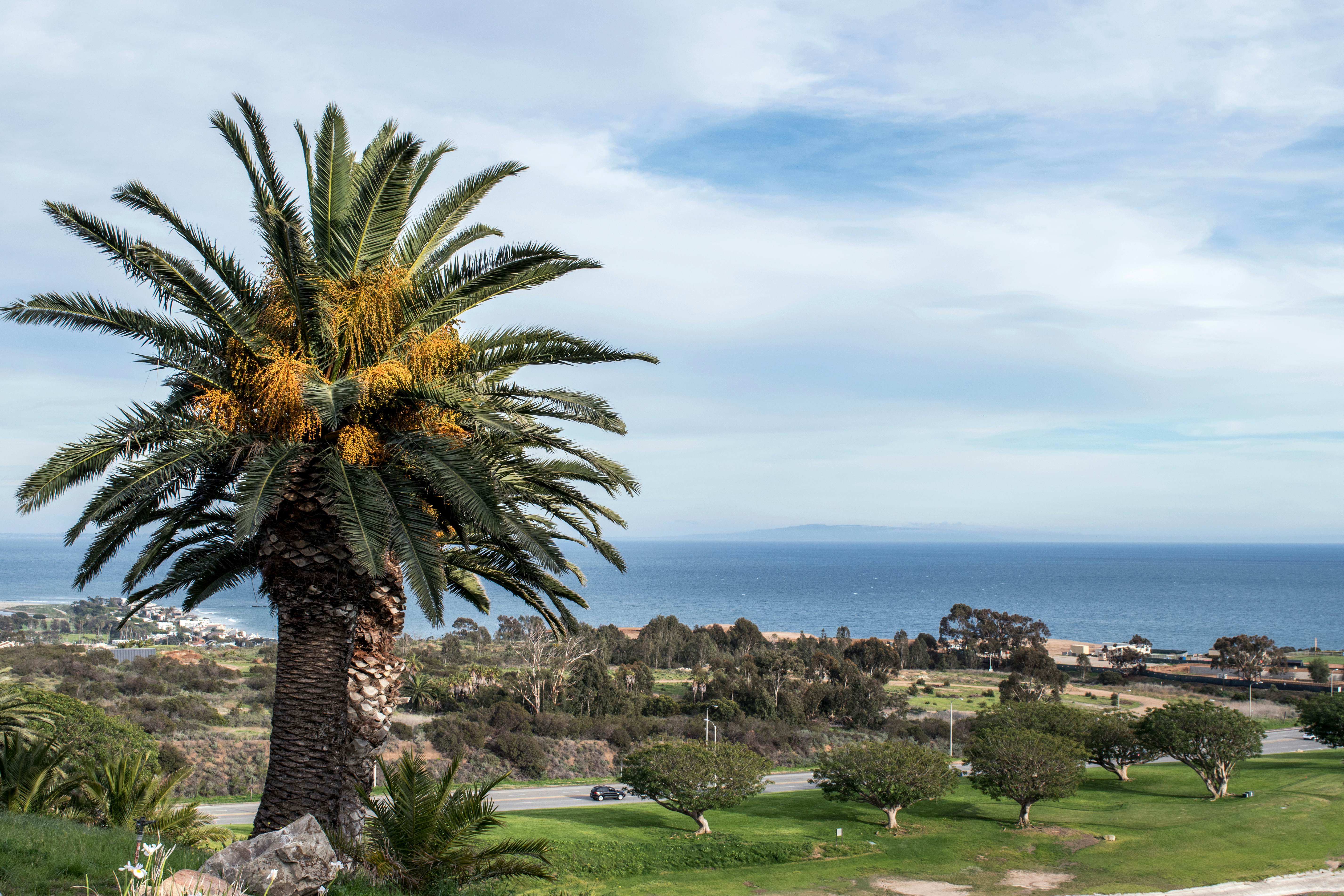 Pepperdine University