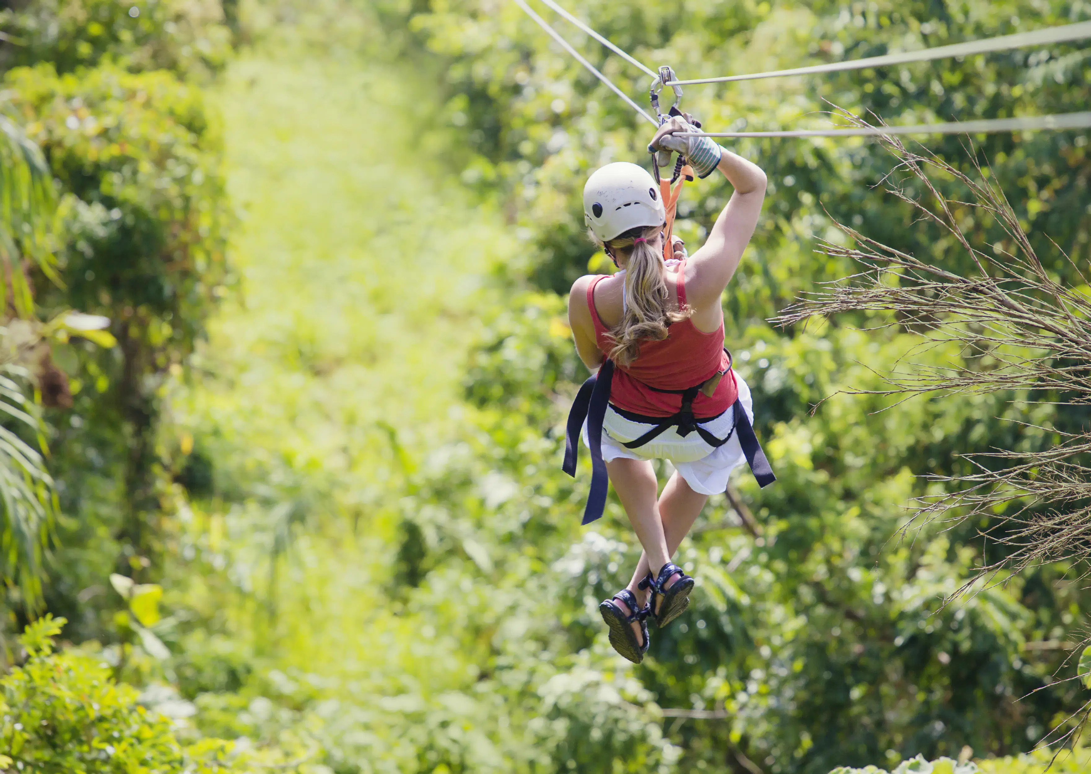 Tree top adventure