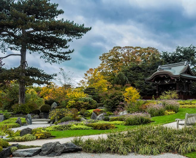 Japanese garden at Kew Gardens