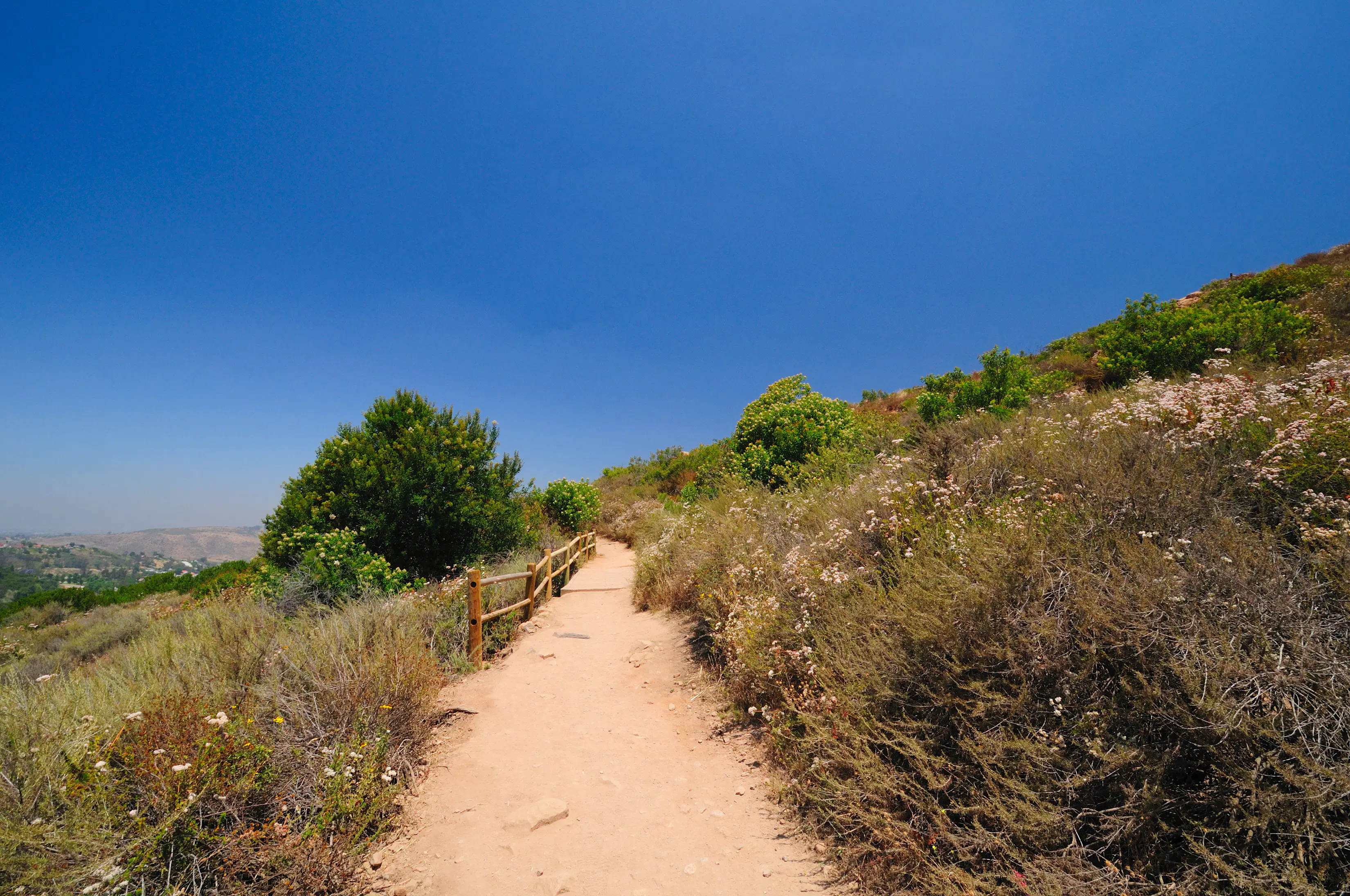 Mission Trails Regional Park