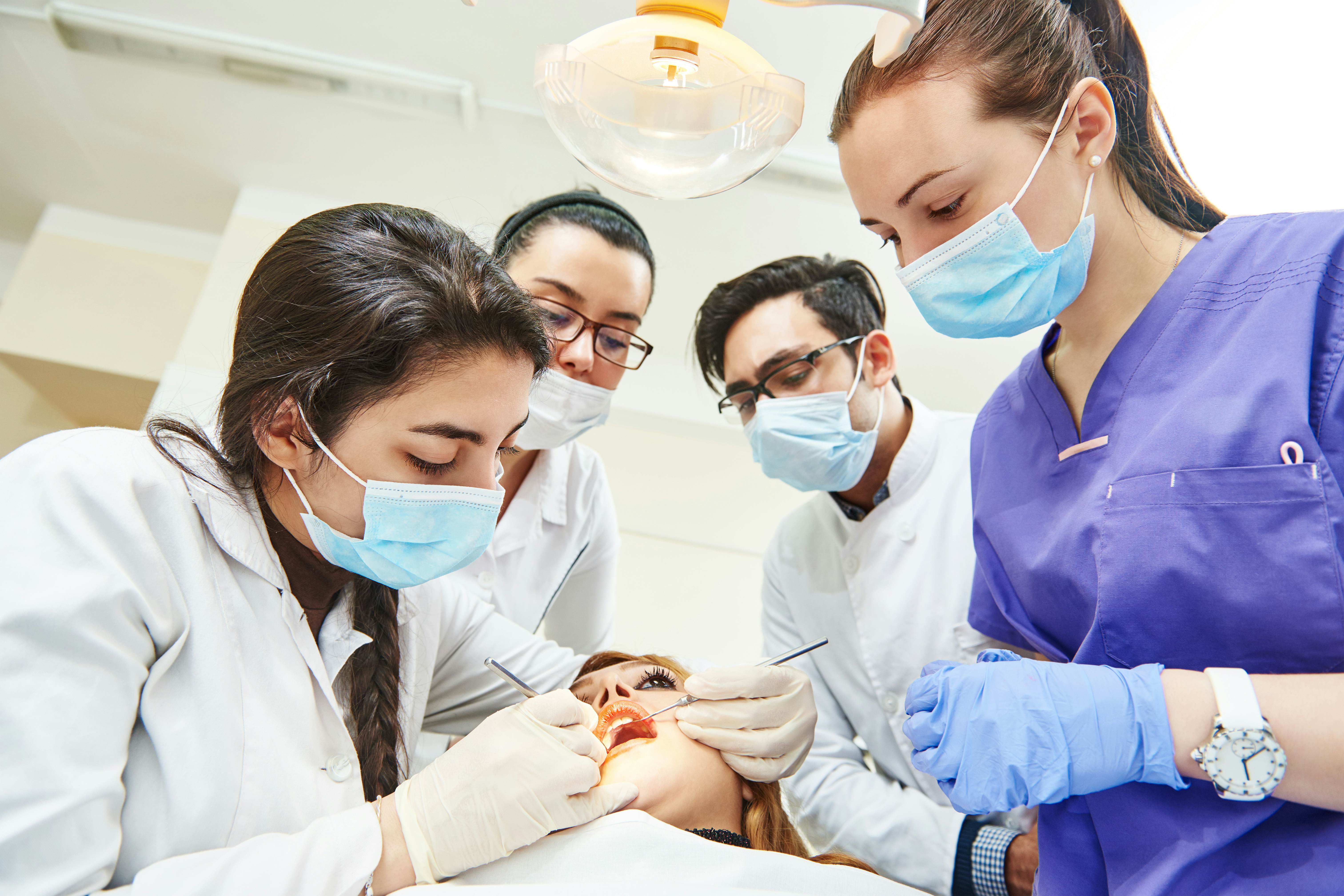 Dentistry students