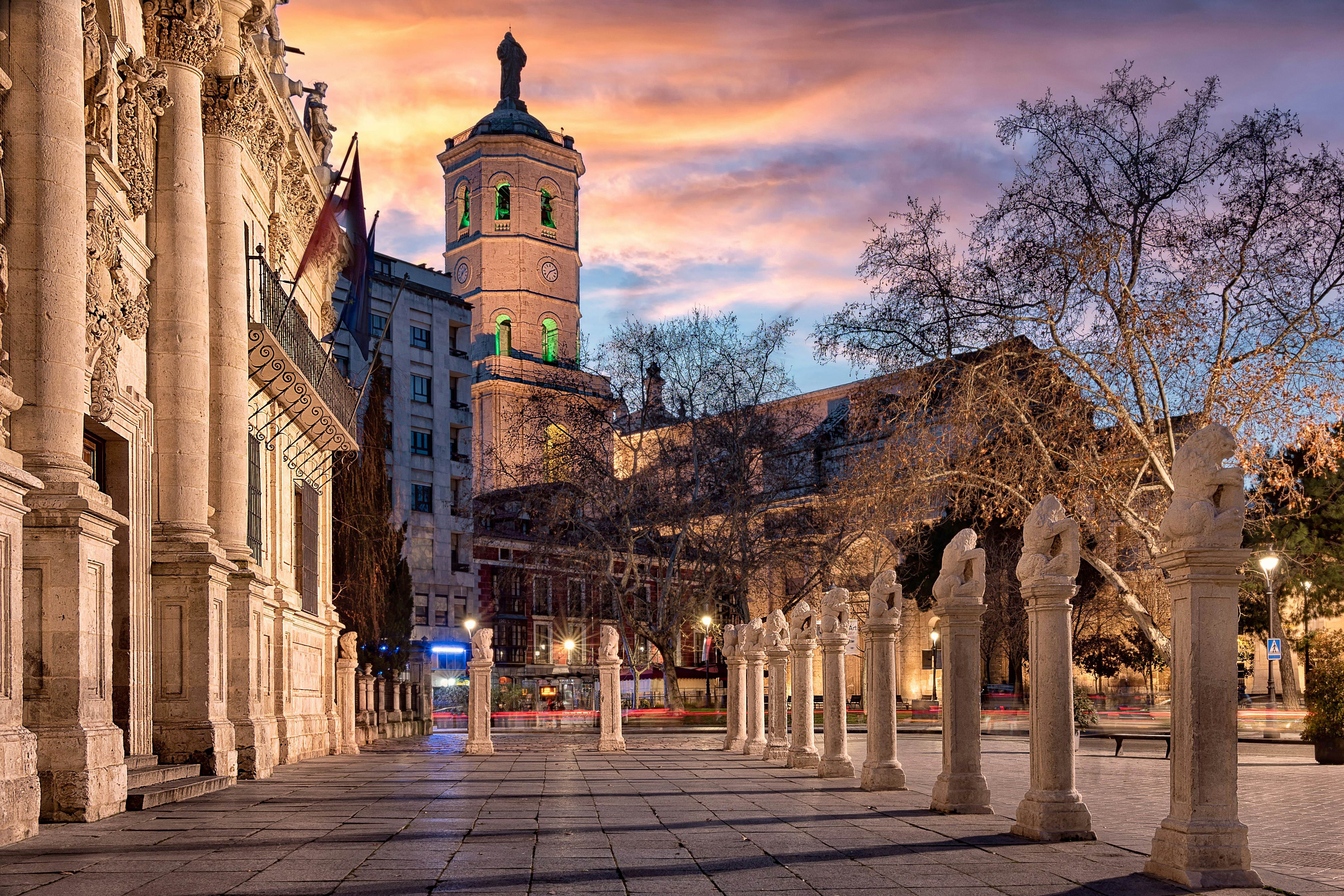University of Valladolid