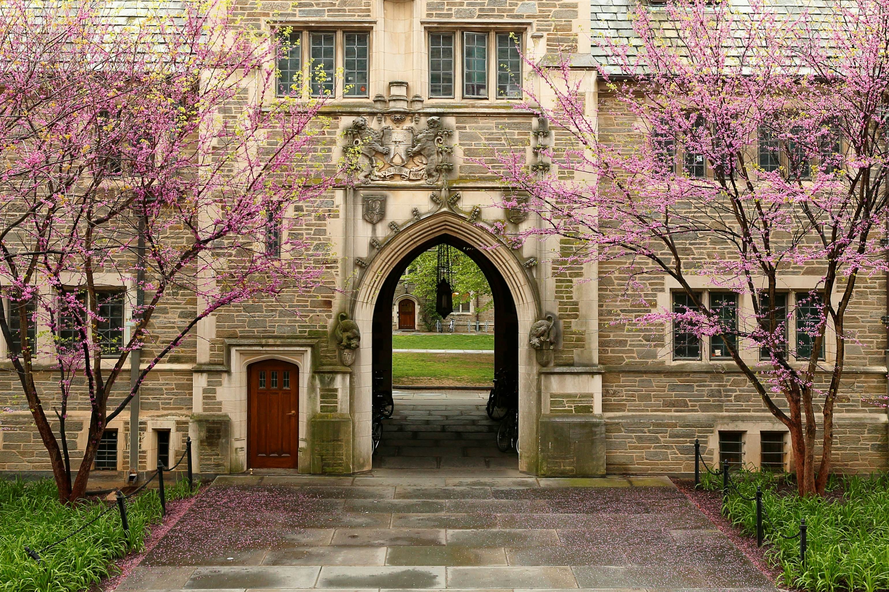 Princeton University