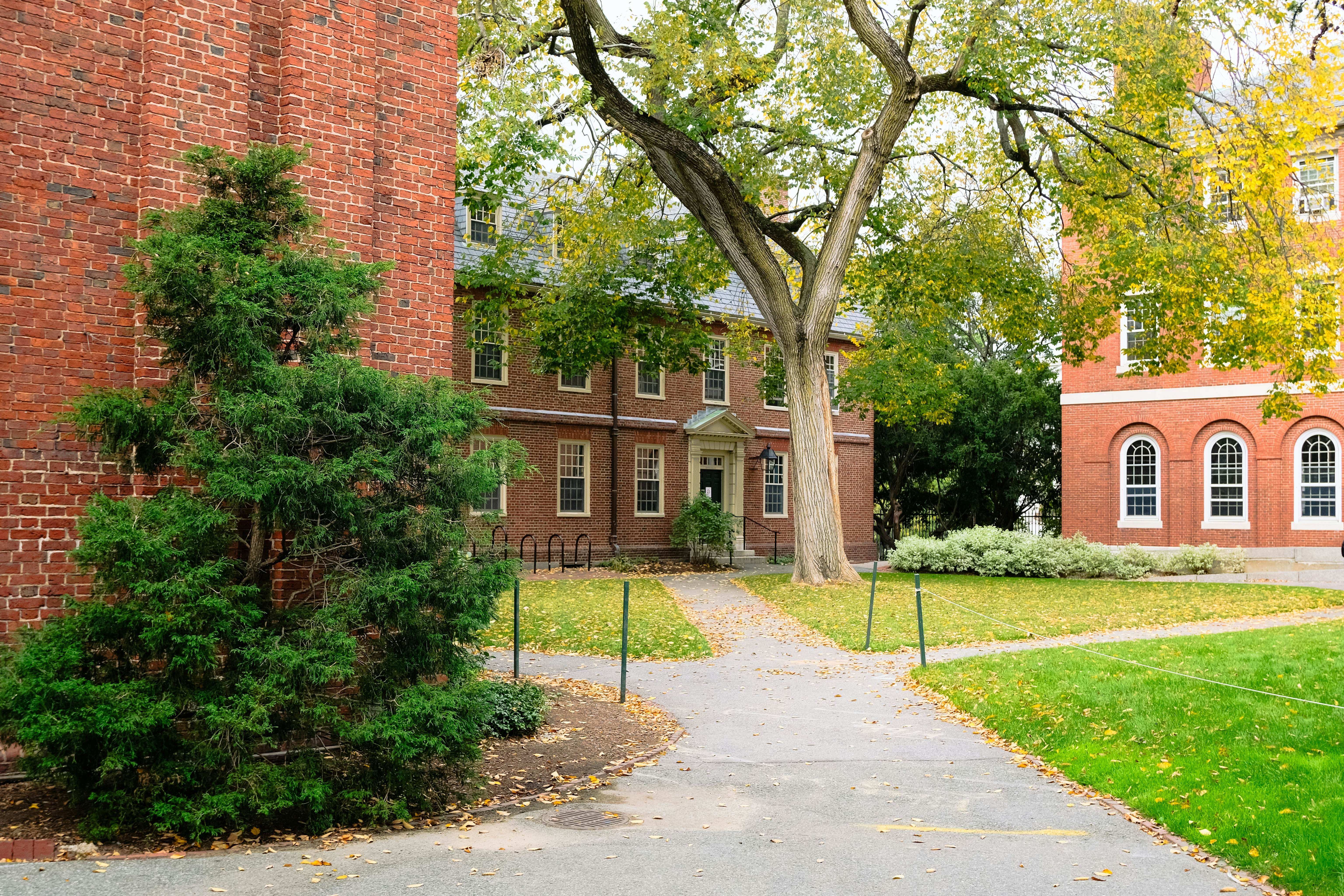 Harvard university