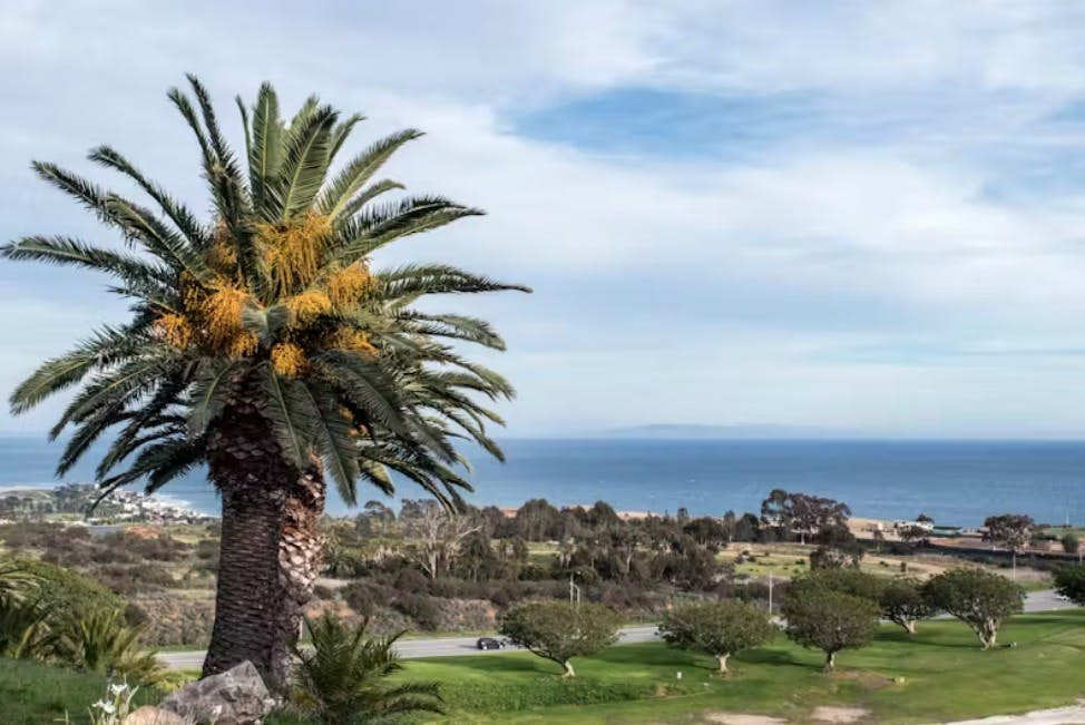 Pepperdine University, Kalifornien
