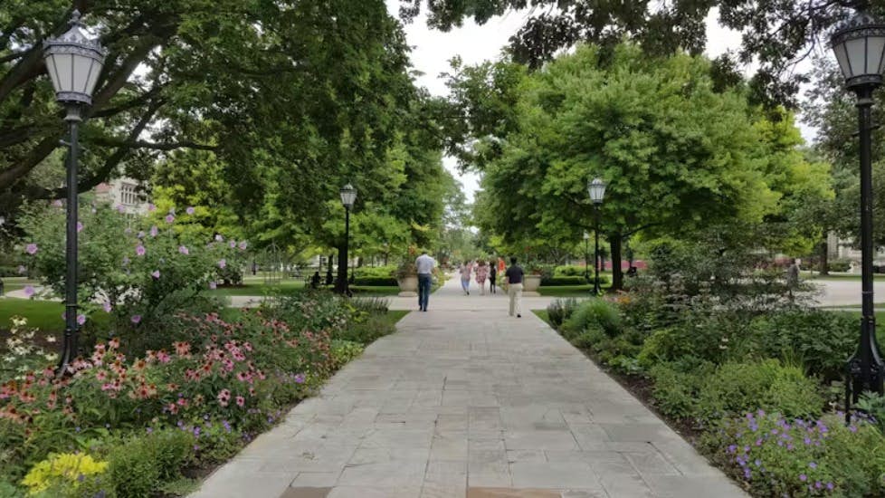University of Chicago, Illinois