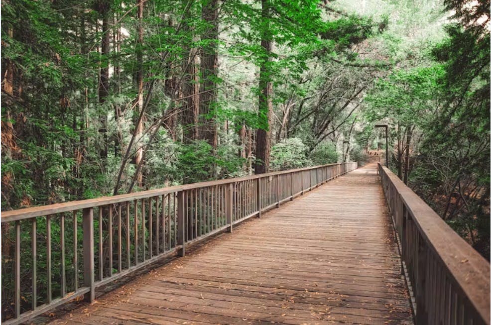 University of California Santa Cruz