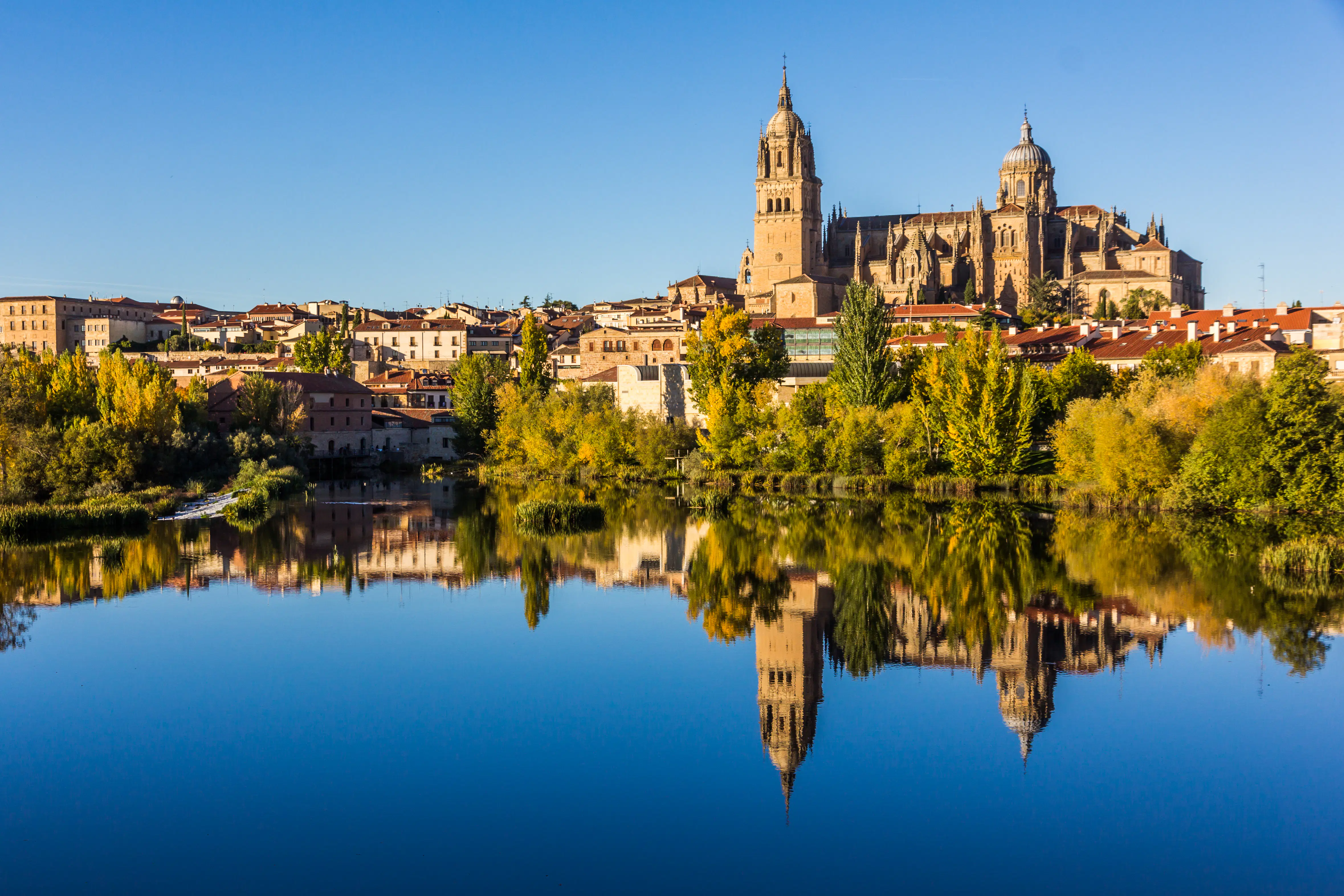 Top Study Abroad Destinations for US Bachelor's Students