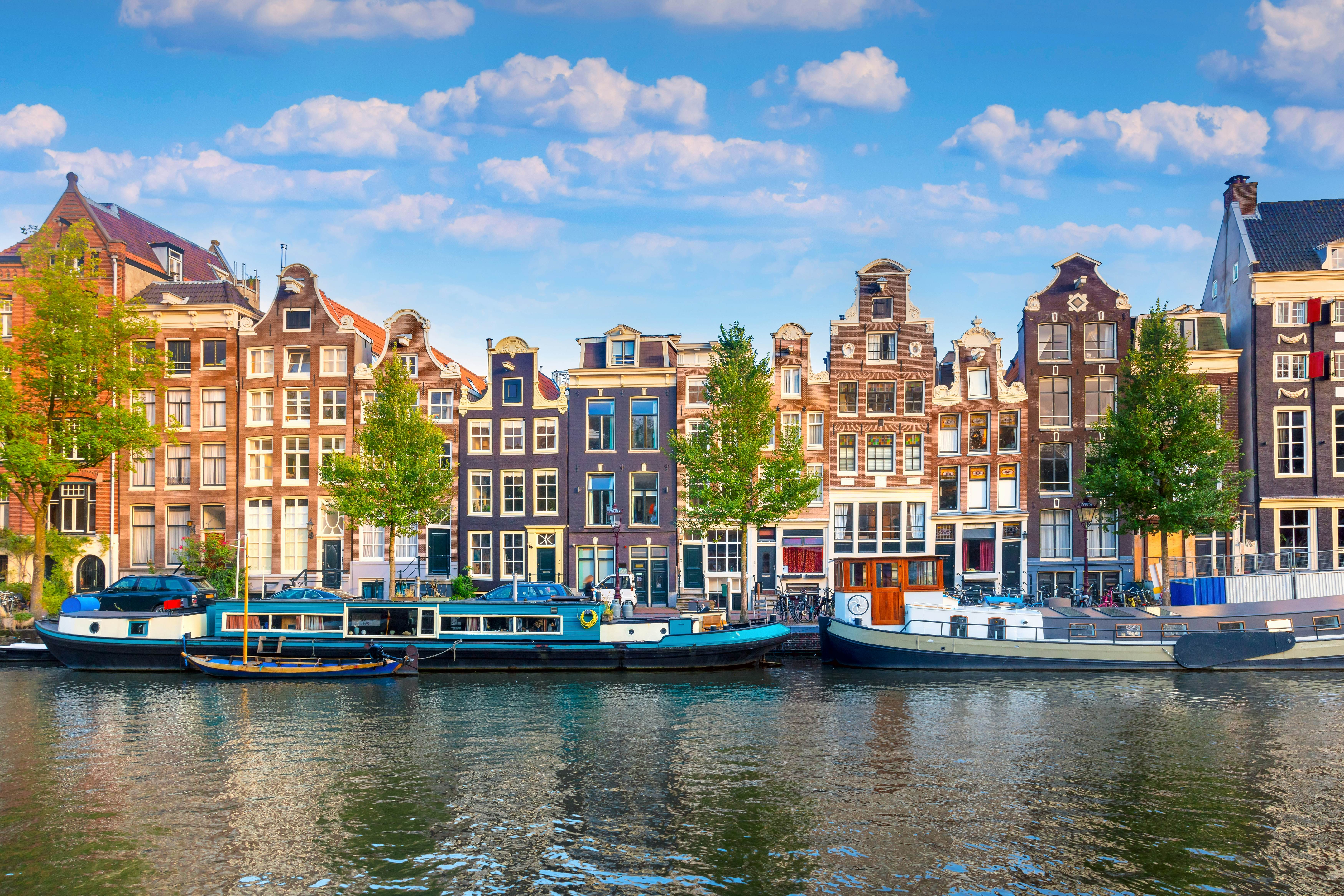 Study in the Netherlands