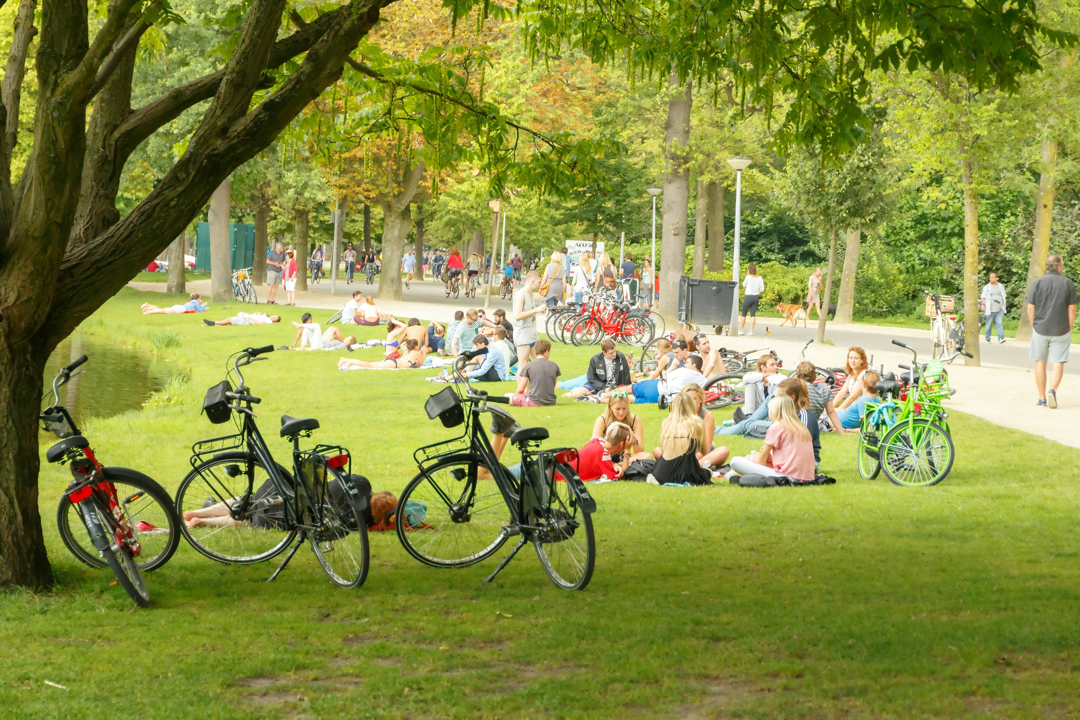 Students sitting on the grass in a park in the Netherlands