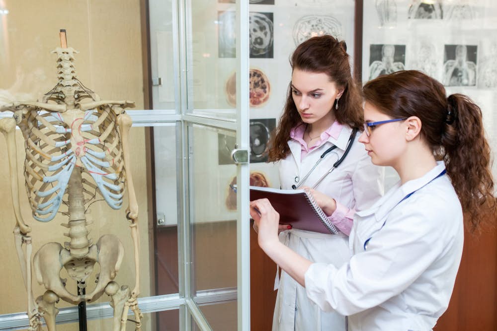 Med students examining human skeleton
