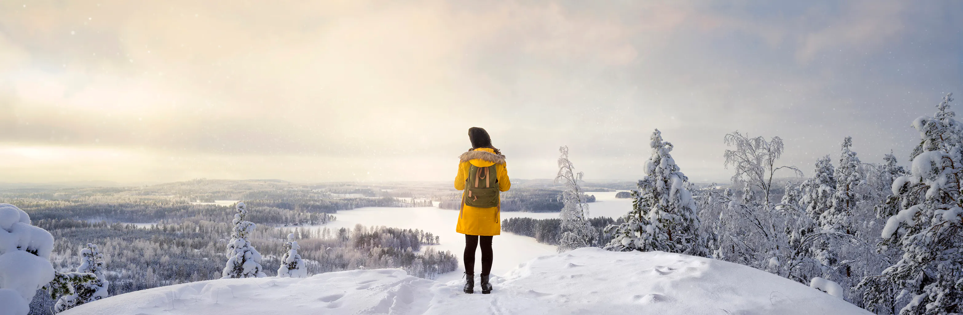 Study cover for Digital Industry and AI