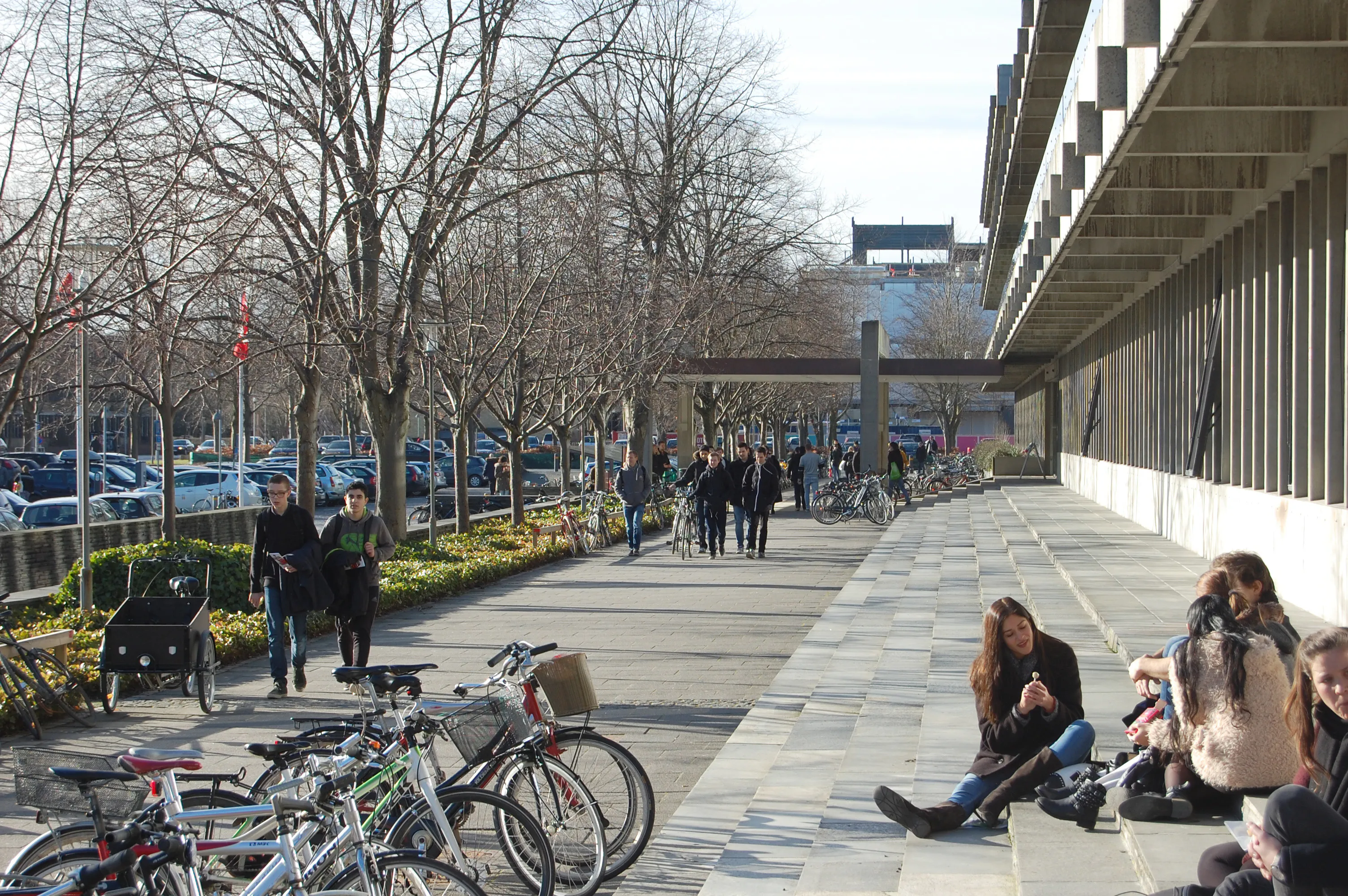 Study cover for Polymer Technology