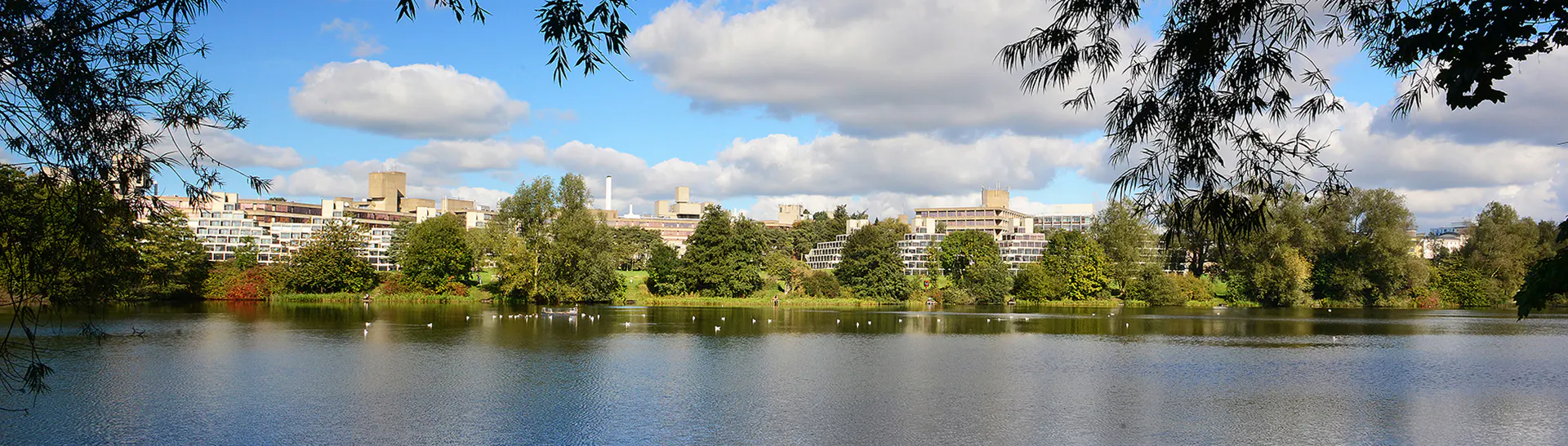 Study cover for Adult Nursing - Preregistration (February Start)