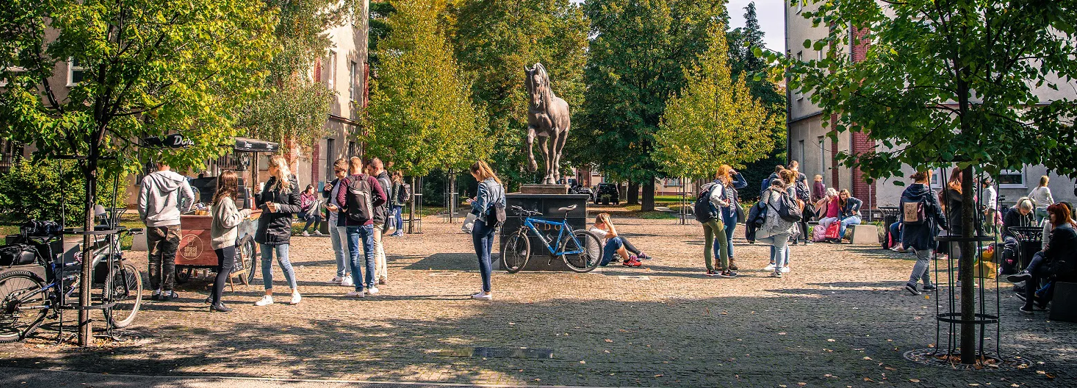 Study cover for General Veterinary Medicine